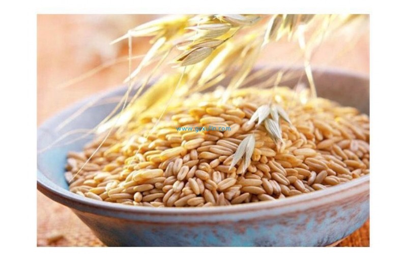 化妝品護膚品燕麥肽活性成分的功效與作用