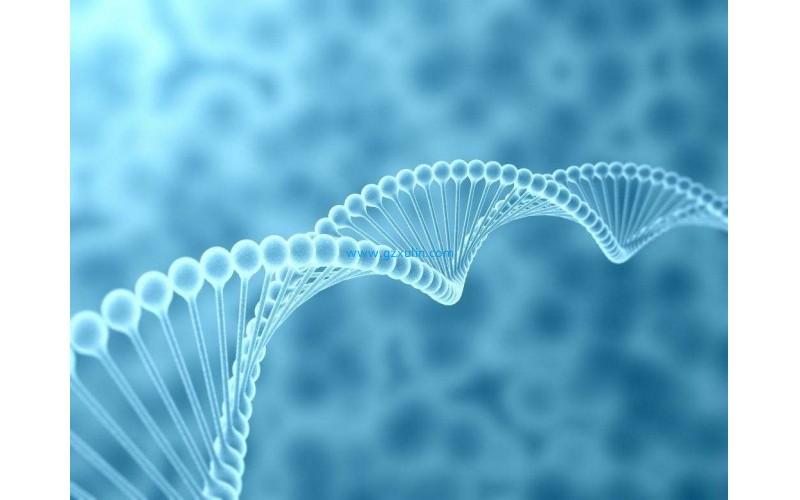 化妝品抗衰老抗皺多肽原料棕櫚酰三肽1功效用途